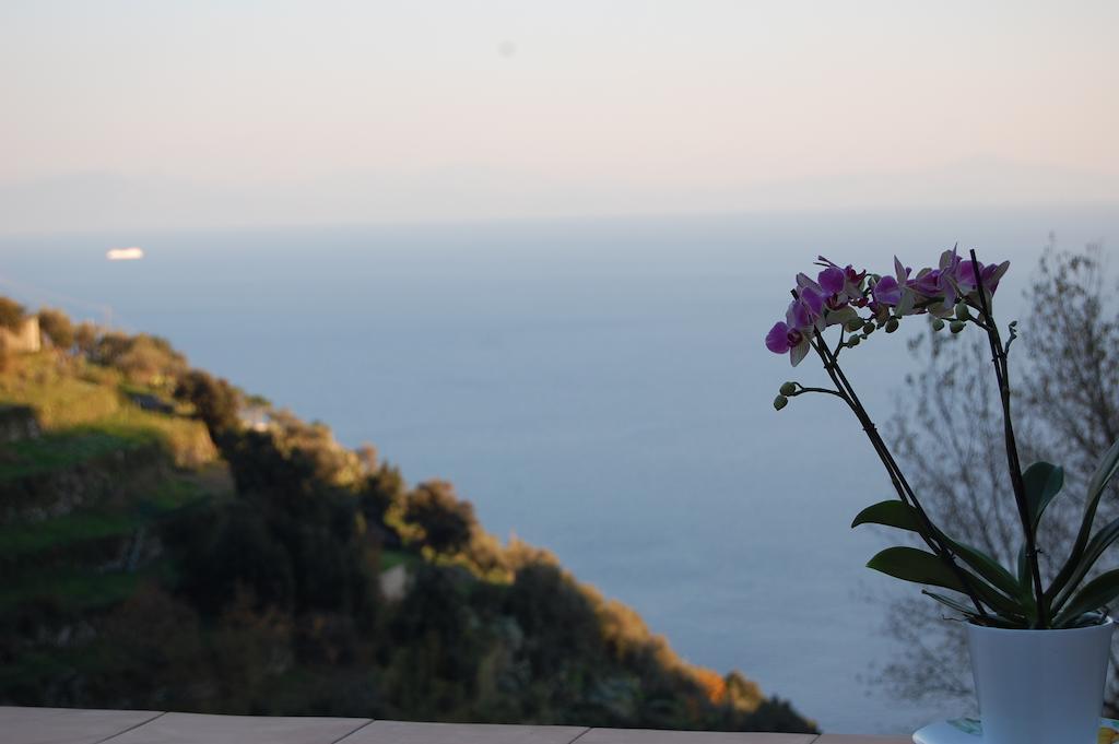 Tenuta Mamma Carmela Amalfi Exteriér fotografie